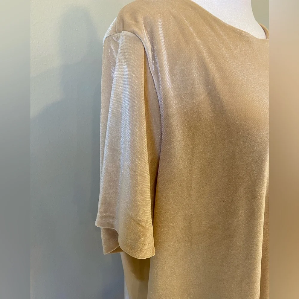 DG2 By Diane Gilman Velvet Blouse Size XL - Picture 3 of 7